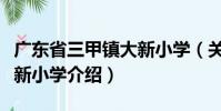 廣東省三甲鎮大新小學(關于廣東省三甲鎮大新小學介紹)