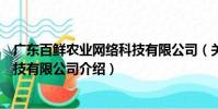廣東百鮮農業網絡科技有限公司(關于廣東百鮮農業網絡科技有限公司介紹)