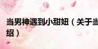 當男神遇到小甜妞(關于當男神遇到小甜妞介紹)