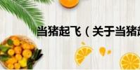 當豬起飛(關于當豬起飛介紹)