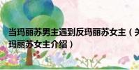 當瑪麗蘇男主遇到反瑪麗蘇女主(關于當瑪麗蘇男主遇到反瑪麗蘇女主介紹)