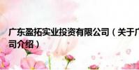 廣東盈拓實業投資有限公司(關于廣東盈拓實業投資有限公司介紹)