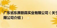 廣東省東原廚具實業有限公司(關于廣東省東原廚具實業有限公司介紹)