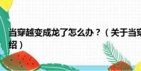 當穿越變成龍了怎么辦?(關于當穿越變成龍了怎么辦?介紹)