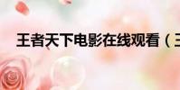 王者天下電影在線觀看(王者天下 飛汀)