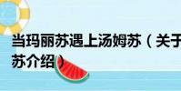 當瑪麗蘇遇上湯姆蘇(關于當瑪麗蘇遇上湯姆蘇介紹)