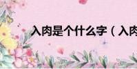入肉是個什么字(入肉是什么字)