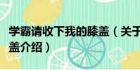 學霸請收下我的膝蓋(關于學霸請收下我的膝蓋介紹)