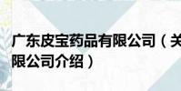 廣東皮寶藥品有限公司(關于廣東皮寶藥品有限公司介紹)