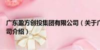 廣東盈方創投集團有限公司(關于廣東盈方創投集團有限公司介紹)