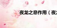 夜龍之息作用(夜龍之息)