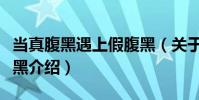 當真腹黑遇上假腹黑(關于當真腹黑遇上假腹黑介紹)