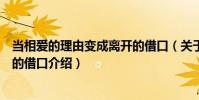 當相愛的理由變成離開的借口(關于當相愛的理由變成離開的借口介紹)