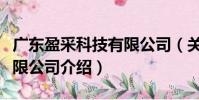 廣東盈采科技有限公司(關于廣東盈采科技有限公司介紹)
