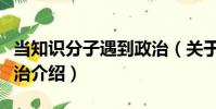 當知識分子遇到政治(關于當知識分子遇到政治介紹)