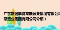 廣東盛晟奧特萊斯置業集團有限公司(關于廣東盛晟奧特萊斯置業集團有限公司介紹)