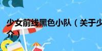 少女前線黑色小隊(關于少女前線黑色小隊簡介)