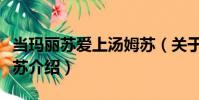 當瑪麗蘇愛上湯姆蘇(關于當瑪麗蘇愛上湯姆蘇介紹)