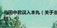 當田中君誤入本丸(關于當田中君誤入本丸介紹)