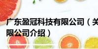 廣東盈冠科技有限公司(關于廣東盈冠科技有限公司介紹)
