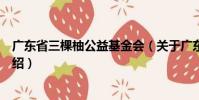 廣東省三棵柚公益基金會(關于廣東省三棵柚公益基金會介紹)