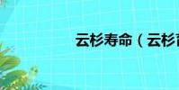 云杉壽命(云杉育苗)