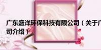 廣東盛洋環保科技有限公司(關于廣東盛洋環保科技有限公司介紹)