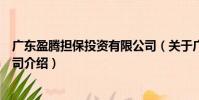 廣東盈騰擔保投資有限公司(關于廣東盈騰擔保投資有限公司介紹)
