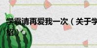 學霸請再愛我一次(關于學霸請再愛我一次介紹)