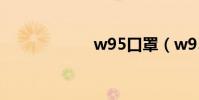 w95口罩(w955)