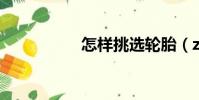 怎樣挑選輪胎(z980)