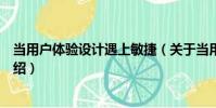 當用戶體驗設計遇上敏捷(關于當用戶體驗設計遇上敏捷介紹)