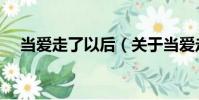 當愛走了以后(關于當愛走了以后介紹)