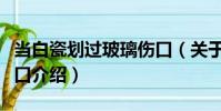 當白瓷劃過玻璃傷口(關于當白瓷劃過玻璃傷口介紹)