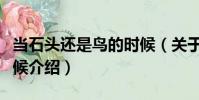 當石頭還是鳥的時候(關于當石頭還是鳥的時候介紹)
