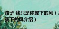 孩子 我只是你翼下的風(關于孩子 我只是你翼下的風介紹)