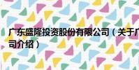 廣東盛隆投資股份有限公司(關于廣東盛隆投資股份有限公司介紹)