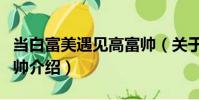 當白富美遇見高富帥(關于當白富美遇見高富帥介紹)