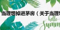 當理想掉進茅房(關于當理想掉進茅房介紹)