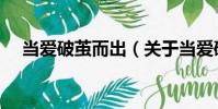 當愛破繭而出(關于當愛破繭而出介紹)