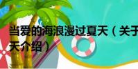 當愛的海浪漫過夏天(關于當愛的海浪漫過夏天介紹)
