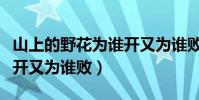 山上的野花為誰開又為誰敗(山上的野花為誰開又為誰敗)