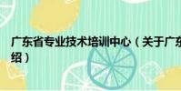 廣東省專業技術培訓中心(關于廣東省專業技術培訓中心介紹)