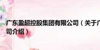 廣東盈超控股集團有限公司(關于廣東盈超控股集團有限公司介紹)