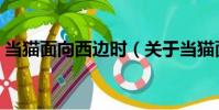 當貓面向西邊時(關于當貓面向西邊時介紹)