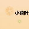 小荷葉邊上衣（小荷葉作文網）