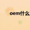 oem什么意思通俗（oem什么意思）