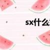 sx什么意思中文（sx什么意思）