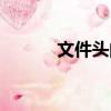 文件頭的樣式（文件頭不完整）