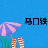 馬口鐵是什么（馬口鐵是什么）